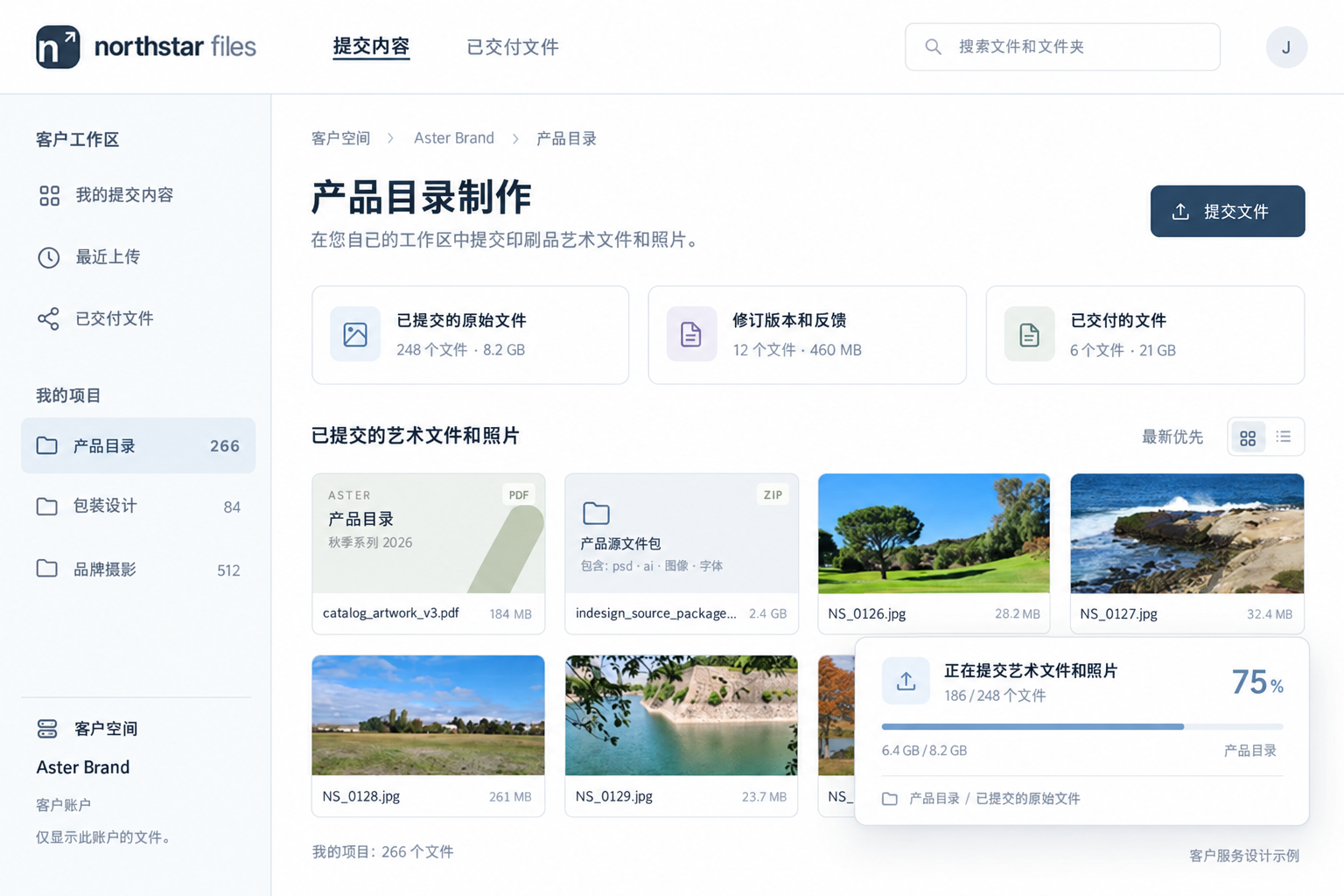 主页上使用的 Northstar 客户文件门户设计