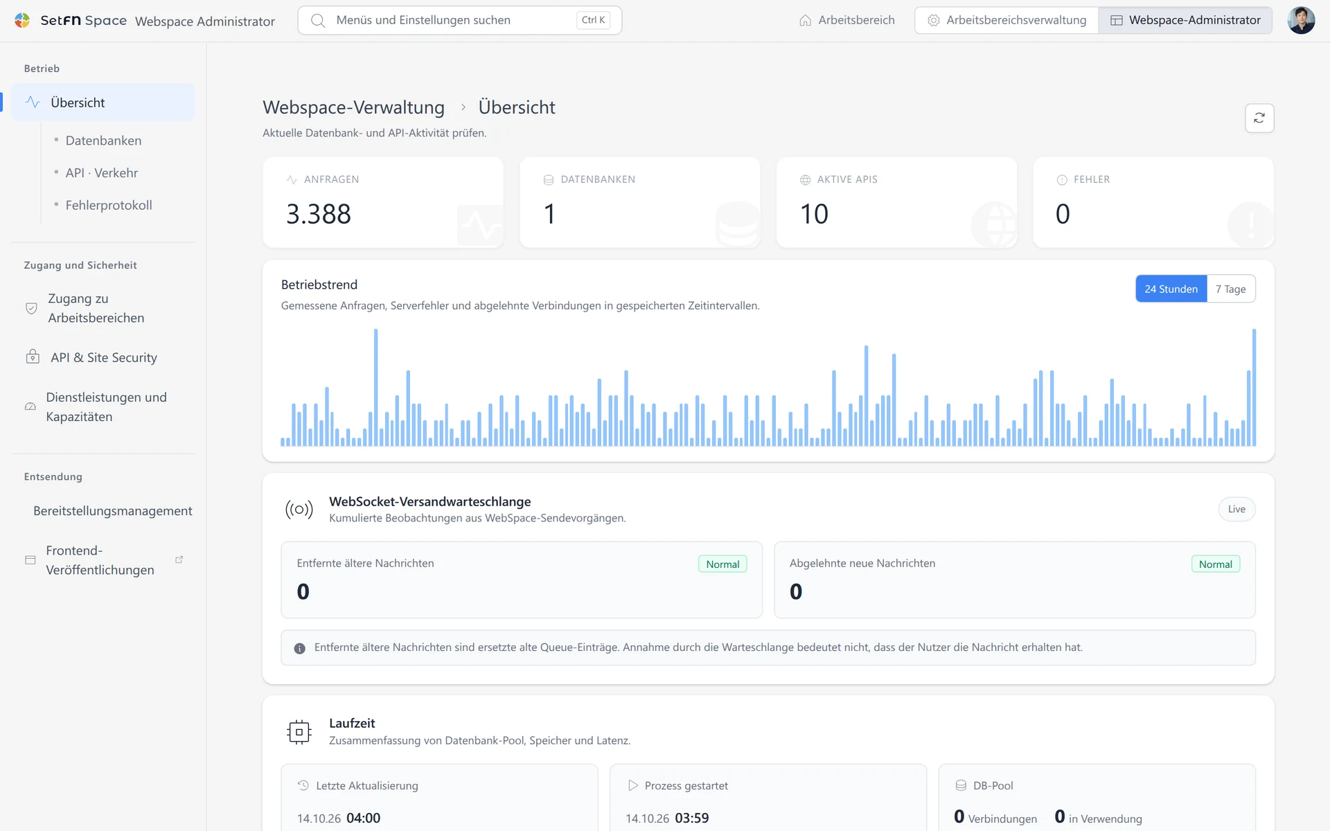 Webspace-Übersicht mit Anfragen, Datenbanken, aktiven APIs, Fehlern und der WebSocket-Versandwarteschlange