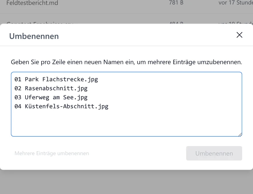 In SetFN Workspace in großen Mengen umbenennen