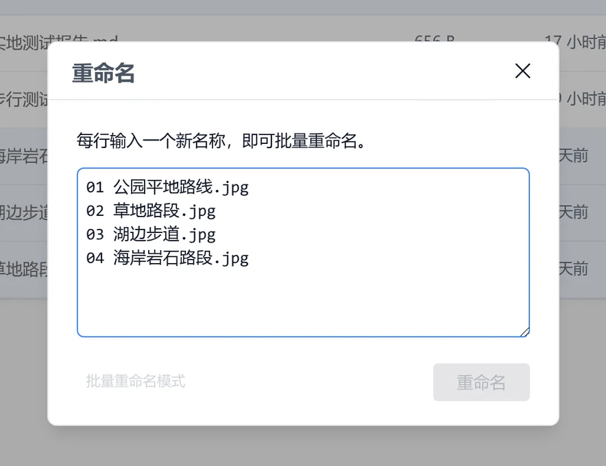 在SetFN工作空间中批量重命名